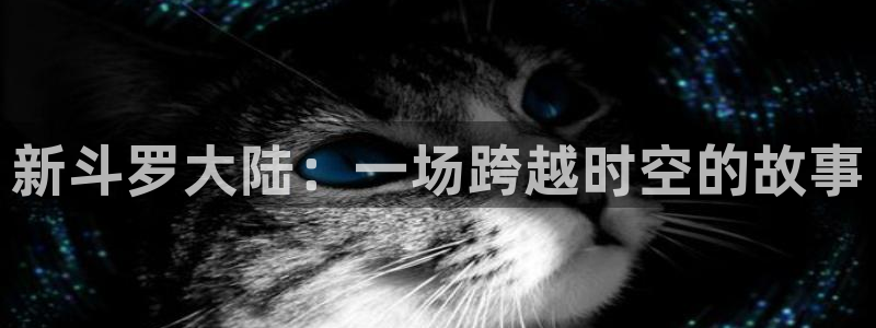 韩漫歪歪漫画首页：新斗罗大陆：一场跨越时空的故事