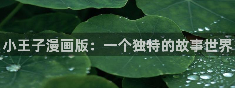 韩漫啪啪漫画：小王子漫画版：一个独特的故事世界